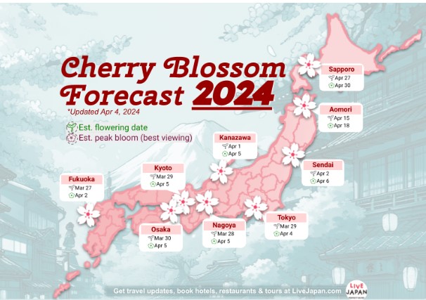 blossom-2024.jpg