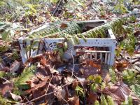 Abandoned computer in Chitose forest