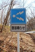 Hiking in a Chitose Forest (7 of 10)